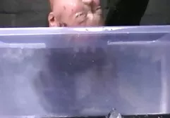 The girl ends up in the peasant's mouth!