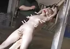 Felicity Feline - Slave Felicitys Sodomy Servitude