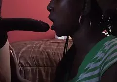 Two cats lick each other
