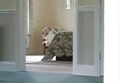 My new sex