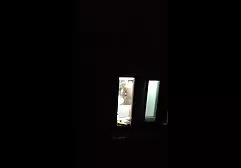 Plumber raped sexual mistress